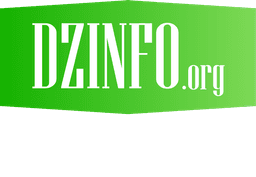  DZ info logo