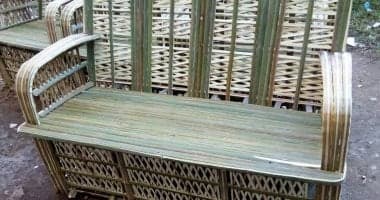 مصر تحول جريد النخيل لثورة صناعية: 16 مليون نخلة تكسر الاستيراد